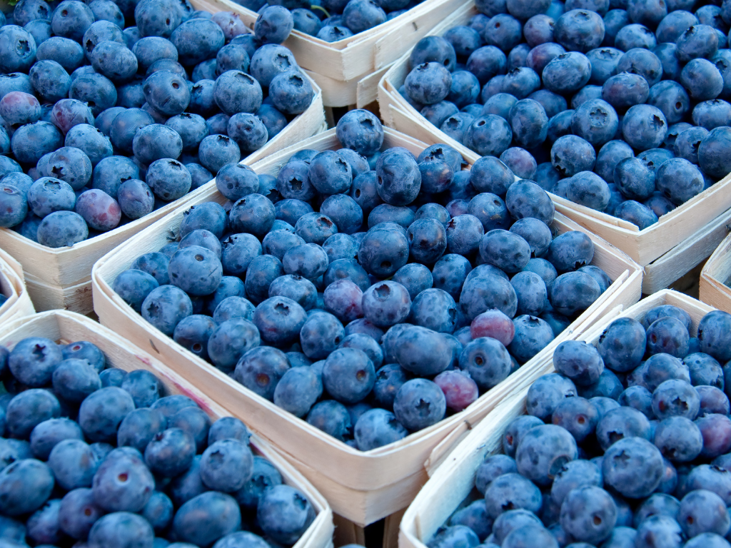 Verwendung, Nährwert und gesundheitliche Vorteile von Blaubeeren
